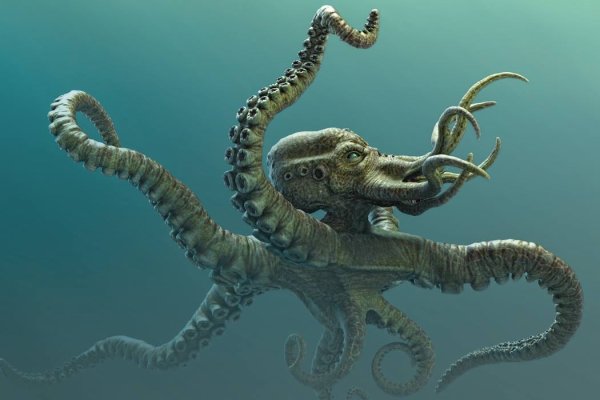 Kraken 15 at